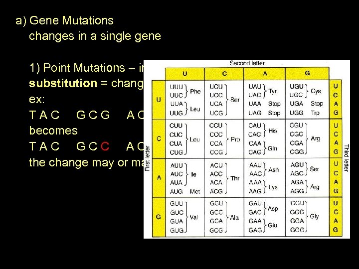 a) Gene Mutations changes in a single gene 1) Point Mutations – involve just