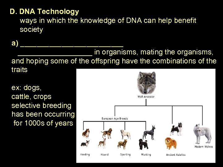 D. DNA Technology ways in which the knowledge of DNA can help benefit society