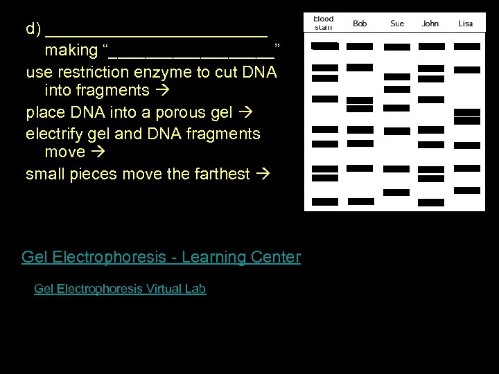 d) ____________ making “_________” use restriction enzyme to cut DNA into fragments place DNA