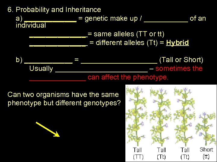 6. Probability and Inheritance a) _______ = genetic make up / ______ of an