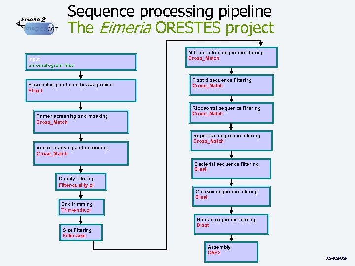 2 Sequence processing pipeline The Eimeria ORESTES project Input chromatogram files Base calling and