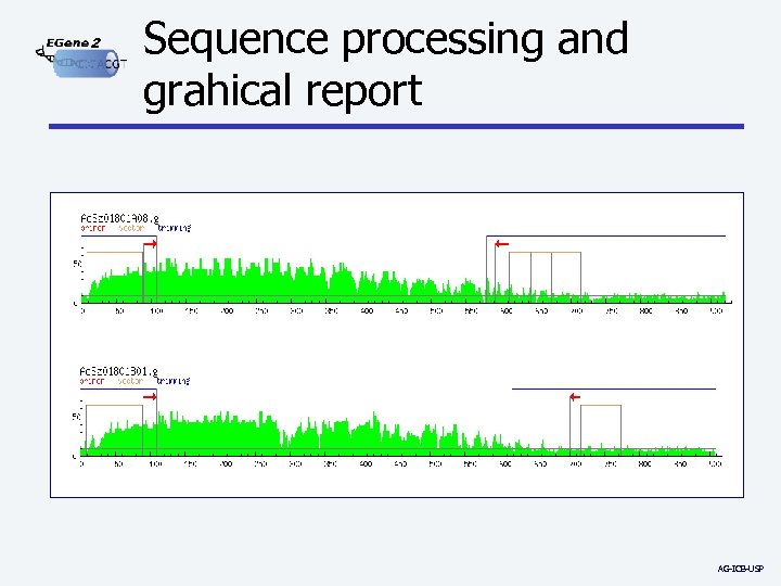 2 Sequence processing and grahical report AG-ICB-USP 