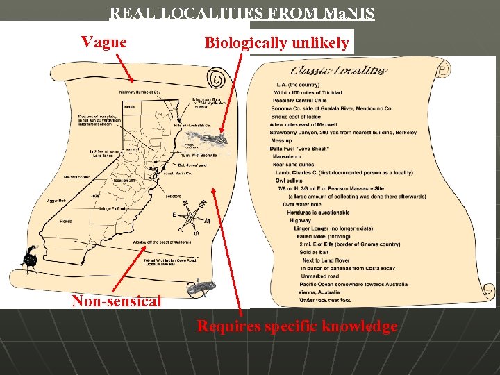 REAL LOCALITIES FROM Ma. NIS Vague Biologically unlikely Non-sensical Requires specific knowledge 