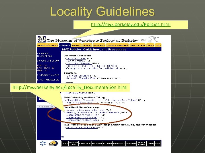 Locality Guidelines http: //mvz. berkeley. edu/Policies. html http: //mvz. berkeley. edu/Locality_Documentation. html 