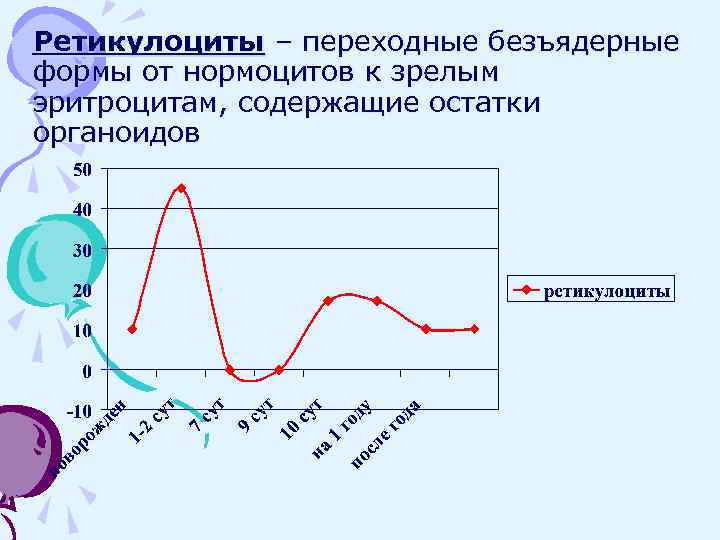 Ретикулоциты – переходные безъядерные формы от нормоцитов к зрелым эритроцитам, содержащие остатки органоидов 