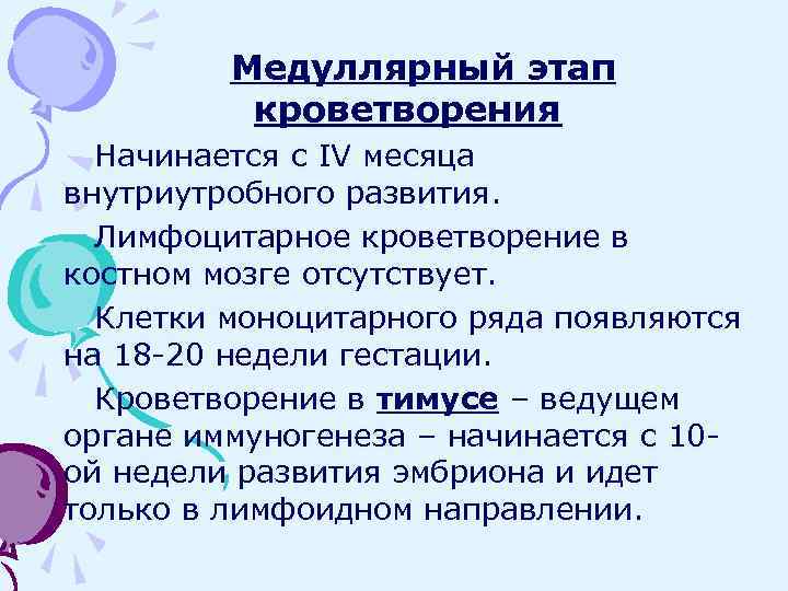 Медуллярный этап кроветворения Начинается с IV месяца внутриутробного развития. Лимфоцитарное кроветворение в костном мозге