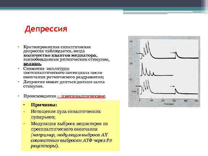 Депрессия • Кратковременная синаптическая депрессия наблюдается, когда количество квантов медиатора, высвобождаемых ритмическим стимулом, велико.