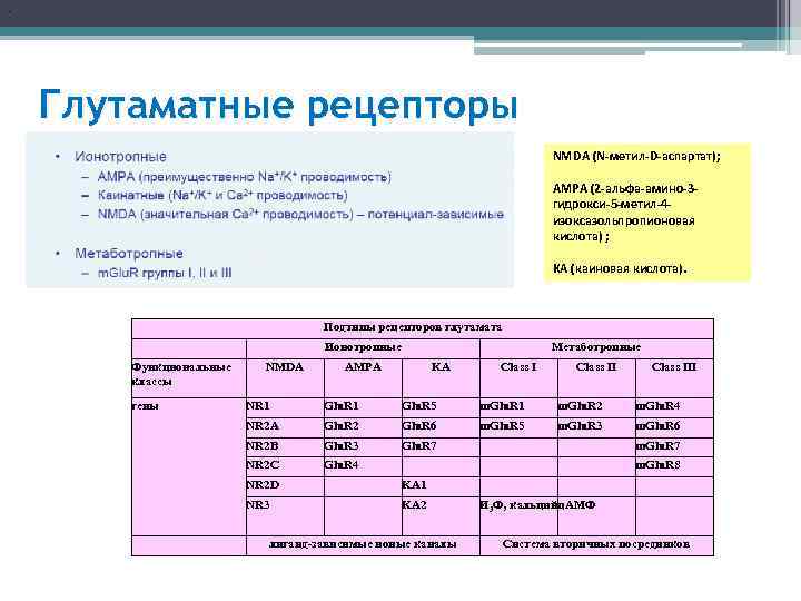 . Глутаматные рецепторы NMDA (N-метил-D-аспартат); AMPA (2 -альфа-амино-3 гидрокси-5 -метил-4 изоксазольпропионовая кислота) ; KA