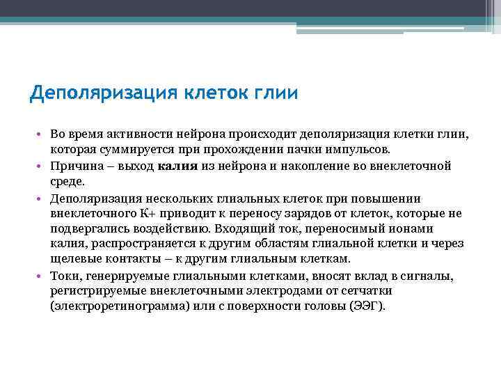 Деполяризация клеток глии • Во время активности нейрона происходит деполяризация клетки глии, которая суммируется