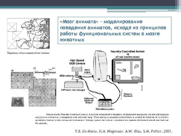  «Мозг анимата» - моделирование поведения аниматов, исходя из принципов работы функциональных систем в