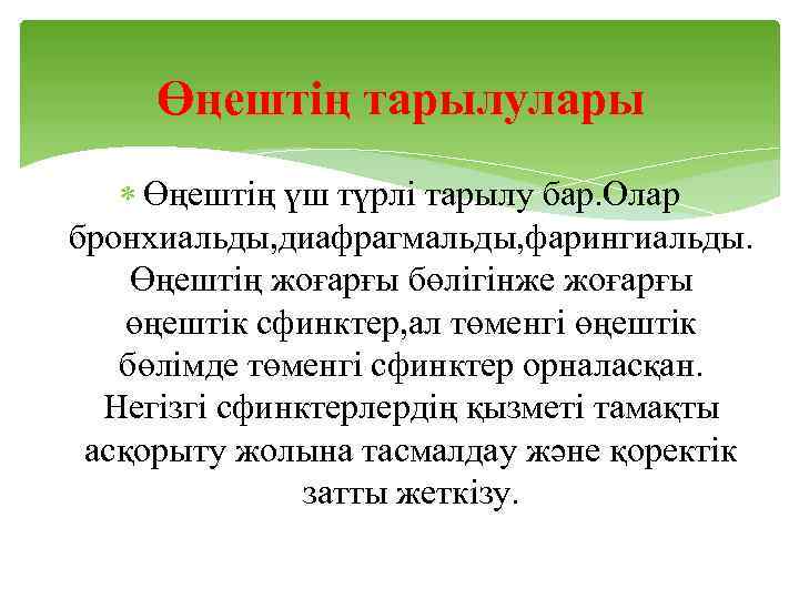 Өңештің тарылулары Өңештің үш түрлі тарылу бар. Олар бронхиальды, диафрагмальды, фарингиальды. Өңештің жоғарғы бөлігінже