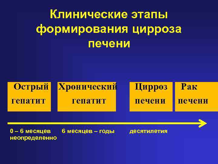 Клинические этапы формирования цирроза печени Острый гепатит Хронический гепатит Цирроз печени 0 – 6