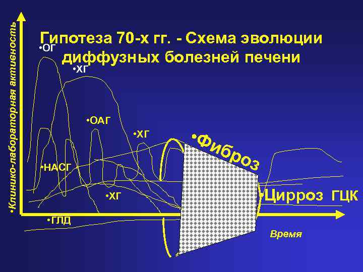  • Клинико-лабораторная активность Гипотеза 70 -х гг. - Схема эволюции • ОГ диффузных