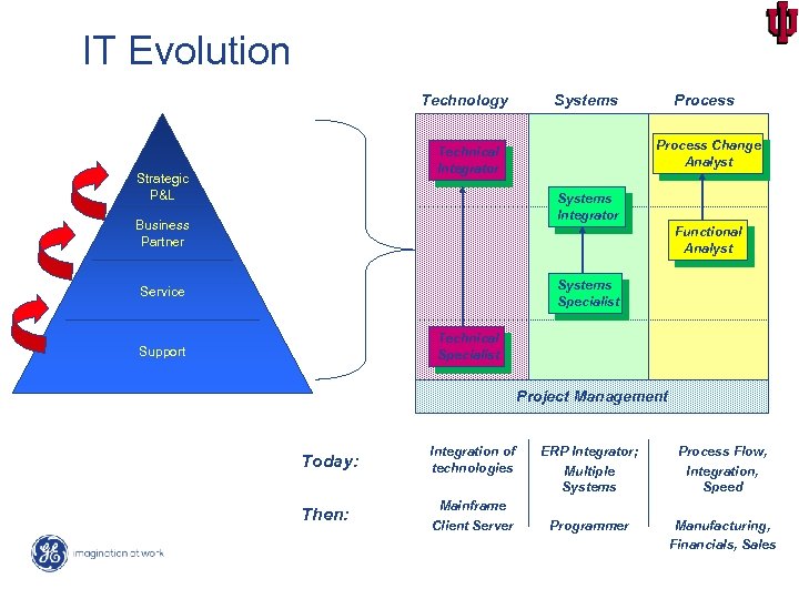 IT Evolution Technology Systems Process Change Analyst Technical Integrator Strategic P&L Process Systems Integrator