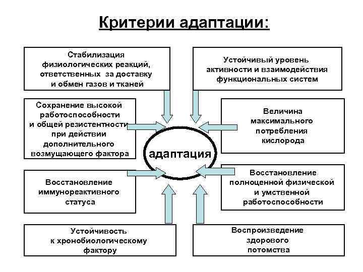 Критерии адаптации: Стабилизация физиологических реакций, ответственных за доставку и обмен газов и тканей Сохранение