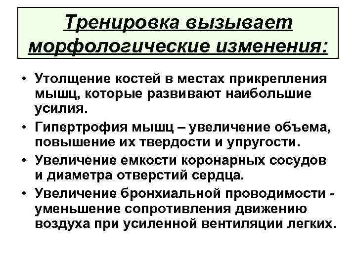 Тренировка вызывает морфологические изменения: • Утолщение костей в местах прикрепления мышц, которые развивают наибольшие