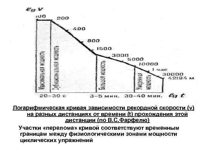 Логарифмическая кривая зависимости рекордной скорости (v) на разных дистанциях от времени (t) прохождения этой