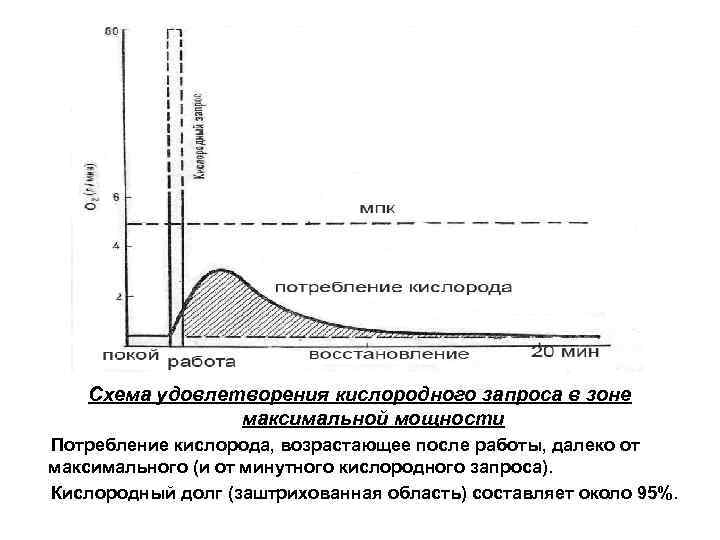 Схема удовлетворения кислородного запроса в зоне максимальной мощности Потребление кислорода, возрастающее после работы, далеко