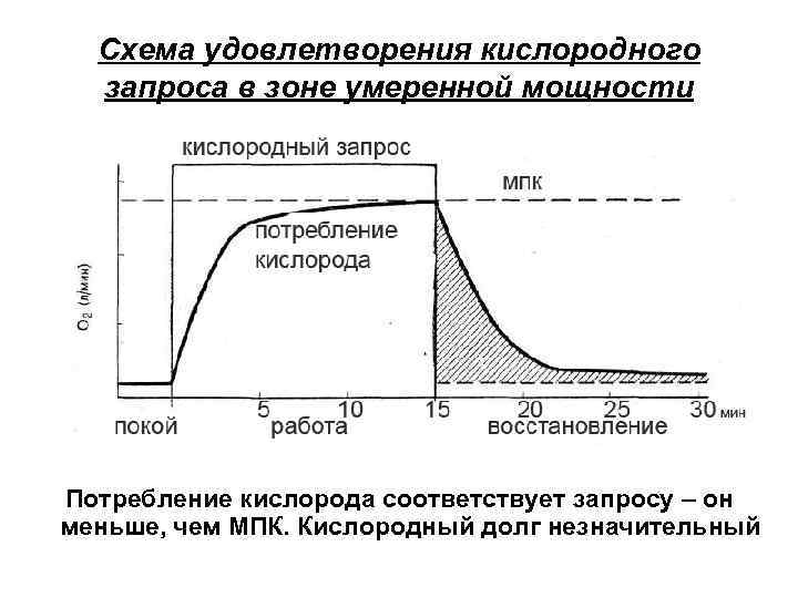 Схема удовлетворения кислородного запроса в зоне умеренной мощности Потребление кислорода соответствует запросу – он