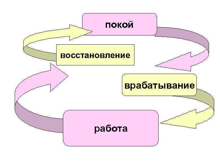 покой восстановление врабатывание работа 