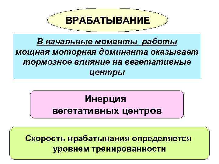 ВРАБАТЫВАНИЕ В начальные моменты работы мощная моторная доминанта оказывает тормозное влияние на вегетативные центры