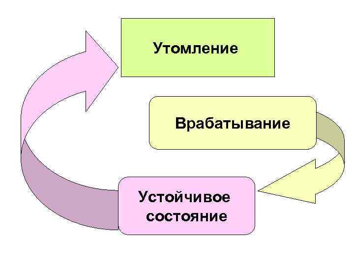 Утомление Врабатывание Устойчивое состояние 