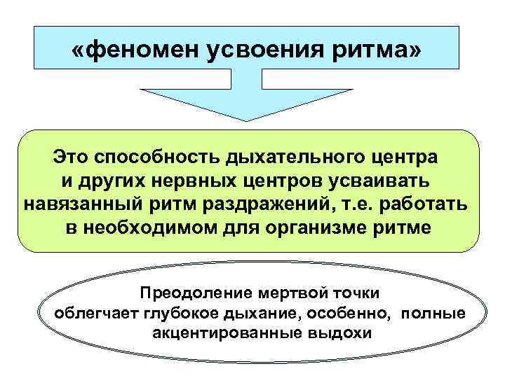  «феномен усвоения ритма» Это способность дыхательного центра и других нервных центров усваивать навязанный