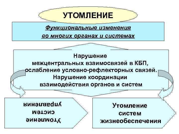 УТОМЛЕНИЕ Функциональные изменения во многих органах и системах Нарушение межцентральных взаимосвязей в КБП, ослабление