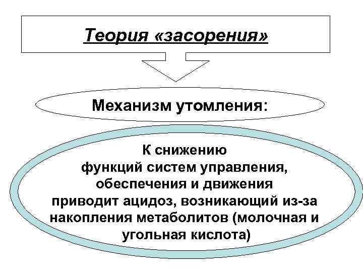 Теория «засорения» Механизм утомления: К снижению функций систем управления, обеспечения и движения приводит ацидоз,