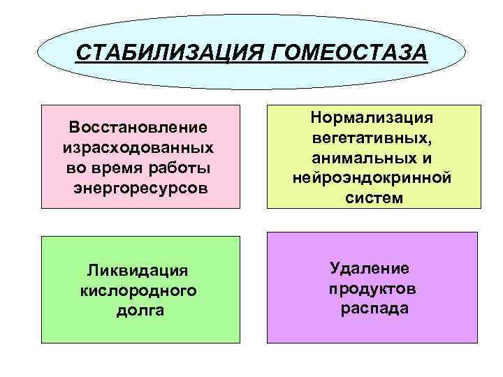 СТАБИЛИЗАЦИЯ ГОМЕОСТАЗА Восстановление израсходованных во время работы энергоресурсов Нормализация вегетативных, анимальных и нейроэндокринной систем