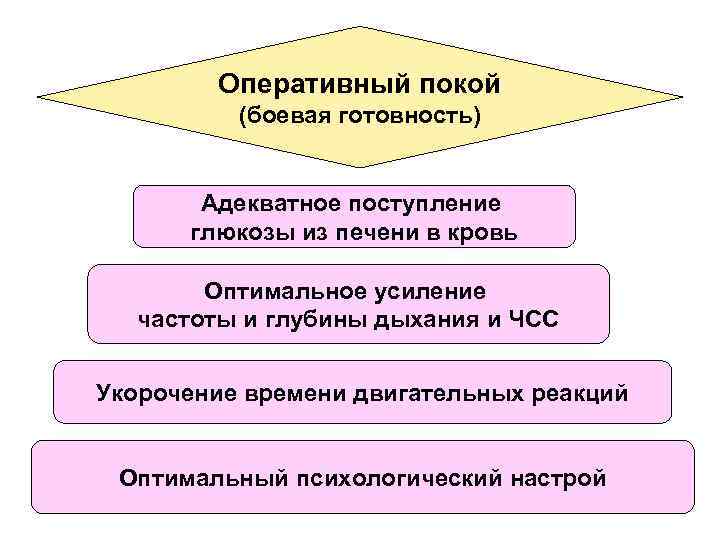 Оперативный покой (боевая готовность) Адекватное поступление глюкозы из печени в кровь Оптимальное усиление частоты