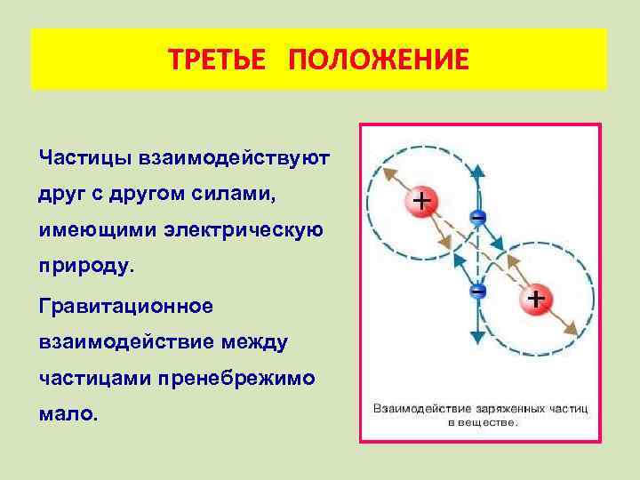 ТРЕТЬЕ ПОЛОЖЕНИЕ Частицы взаимодействуют друг с другом силами, имеющими электрическую природу. Гравитационное взаимодействие между