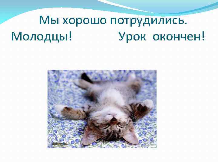 Мы хорошо потрудились. Молодцы! Урок окончен! 