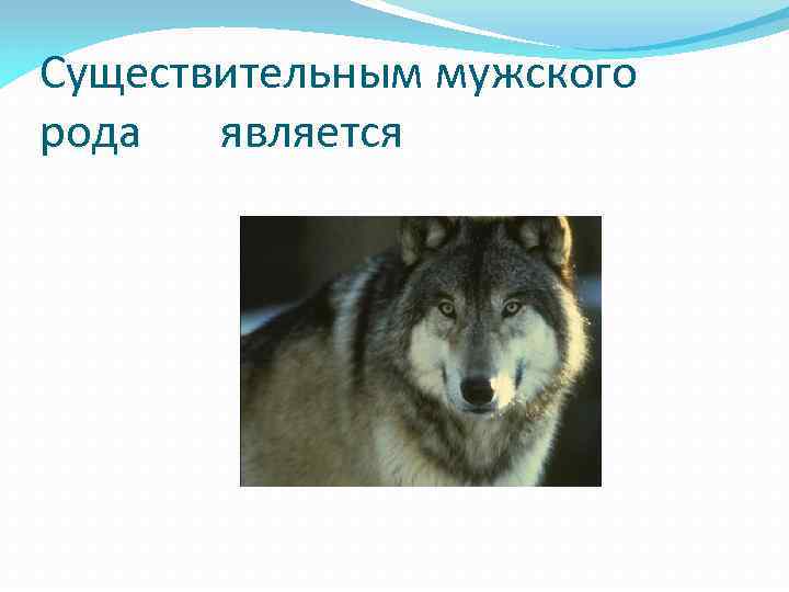 Существительным мужского рода является 