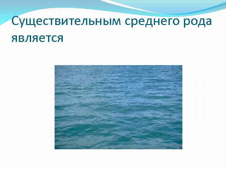 Существительным среднего рода является 