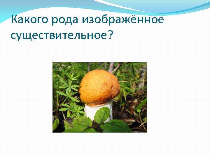 Какого рода изображённое существительное? 