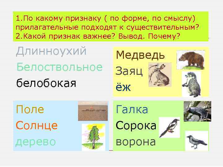 1. По какому признаку ( по форме, по смыслу) прилагательные подходят к существительным? 2.