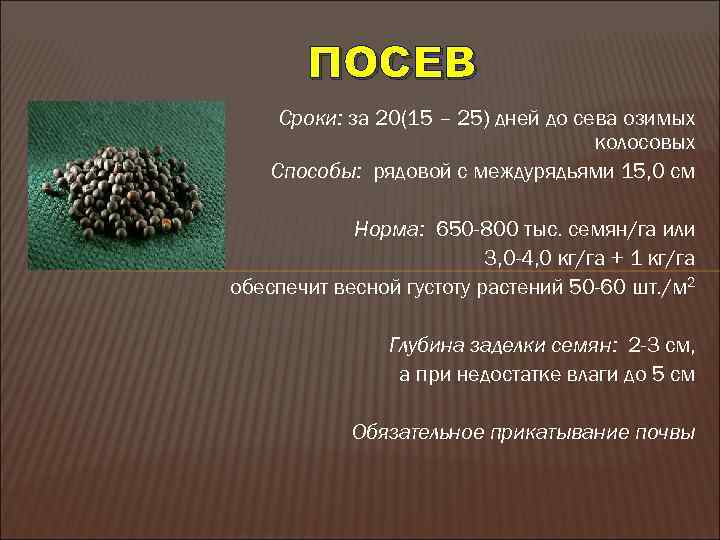 ПОСЕВ Сроки: за 20(15 – 25) дней до сева озимых колосовых Способы: рядовой с