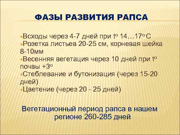 ФАЗЫ РАЗВИТИЯ РАПСА Всходы через 4 -7 дней при tо 14… 17 о С