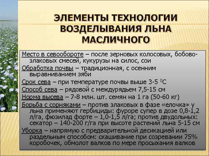 ЭЛЕМЕНТЫ ТЕХНОЛОГИИ ВОЗДЕЛЫВАНИЯ ЛЬНА МАСЛИЧНОГО Место в севообороте – после зерновых колосовых, бобовозлаковых смесей,