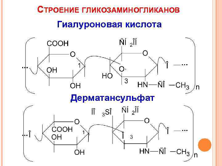 СТРОЕНИЕ ГЛИКОЗАМИНОГЛИКАНОВ Гиалуроновая кислота n Дерматансульфат n 