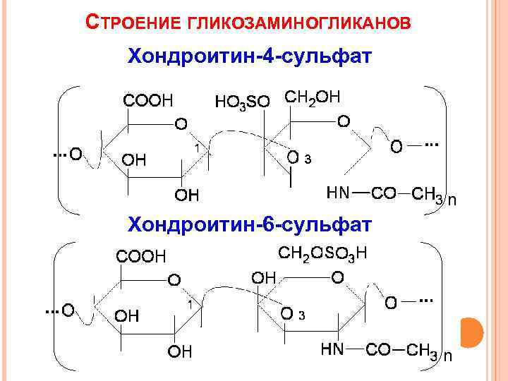 СТРОЕНИЕ ГЛИКОЗАМИНОГЛИКАНОВ Хондроитин-4 -сульфат n Хондроитин-6 -сульфат n 