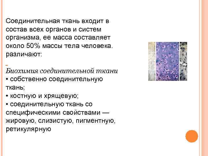 Соединительная ткань входит в состав всех органов и систем организма, ее масса составляет около