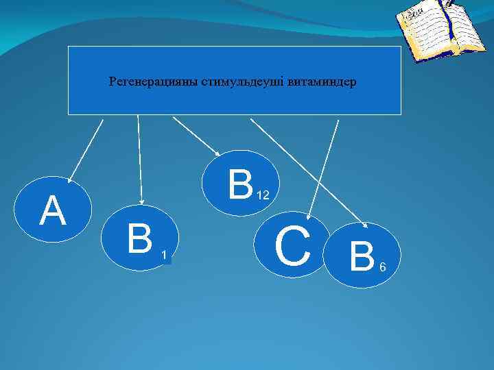 Регенерацияны стимульдеуші витаминдер A В В 1 12 С В 6 