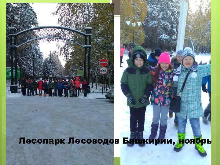 Лесопарк Лесоводов Башкирии, ноябрь 