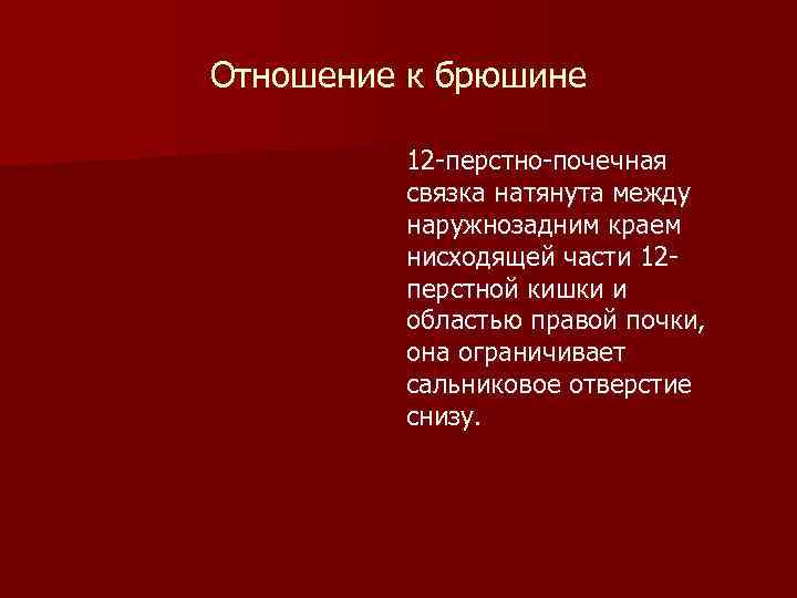 Отношение к брюшине 12 -перстно-почечная связка натянута между наружнозадним краем нисходящей части 12 перстной