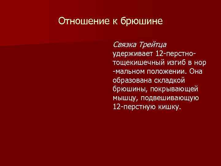 Отношение к брюшине Связка Трейтца удерживает 12 -перстнотощекишечный изгиб в нор -мальном положении. Она