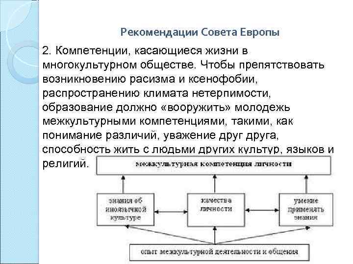 Рекомендации Совета Европы 2. Компетенции, касающиеся жизни в многокультурном обществе. Чтобы препятствовать возникновению расизма
