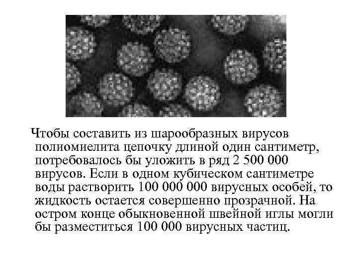 Чтобы составить из шарообразных вирусов полиомиелита цепочку длиной один сантиметр, потребовалось бы уложить в