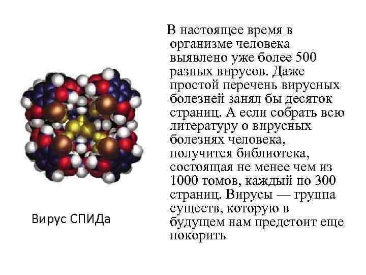 Вирус СПИДа В настоящее время в организме человека выявлено уже более 500 разных вирусов.